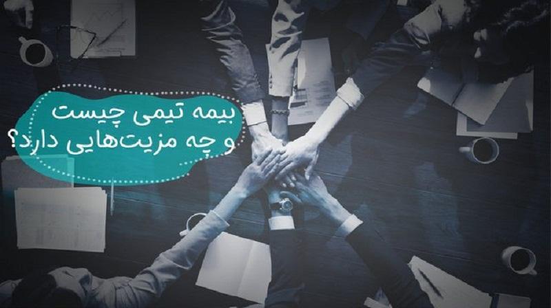 منظور از سود در بیمه تیمی چیست؟