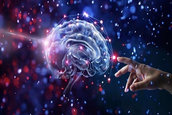 سیستم های عصبی مغز چگونه در شبکه های اجتماعی درگیر می شوند؟